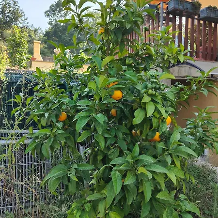Il Melarancio Bed & Breakfast